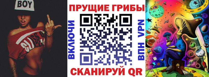 Псилоцибиновые грибы MAGIC MUSHROOMS сайты даркнета Telegram Константиновск кракен онион